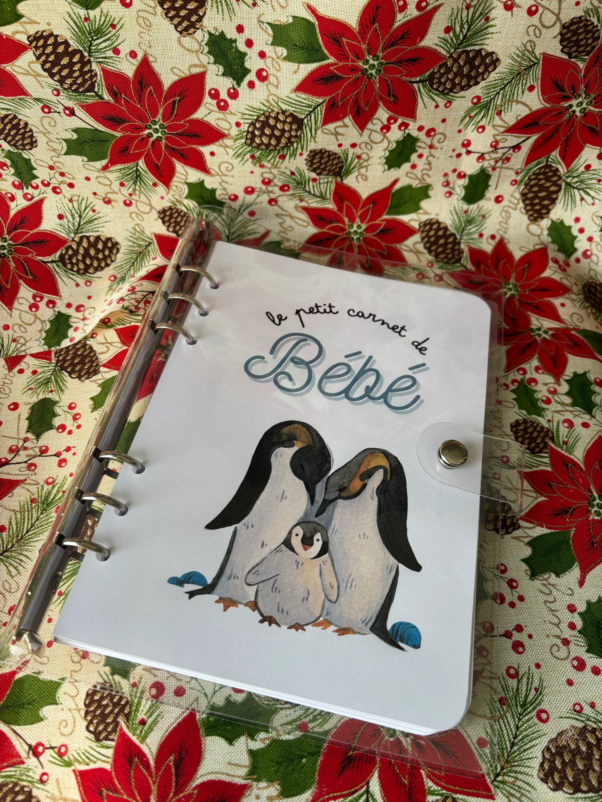 Carnet Bébé d'Hiver - Le Petit Carnet de Bébé ❄️ – Image 2