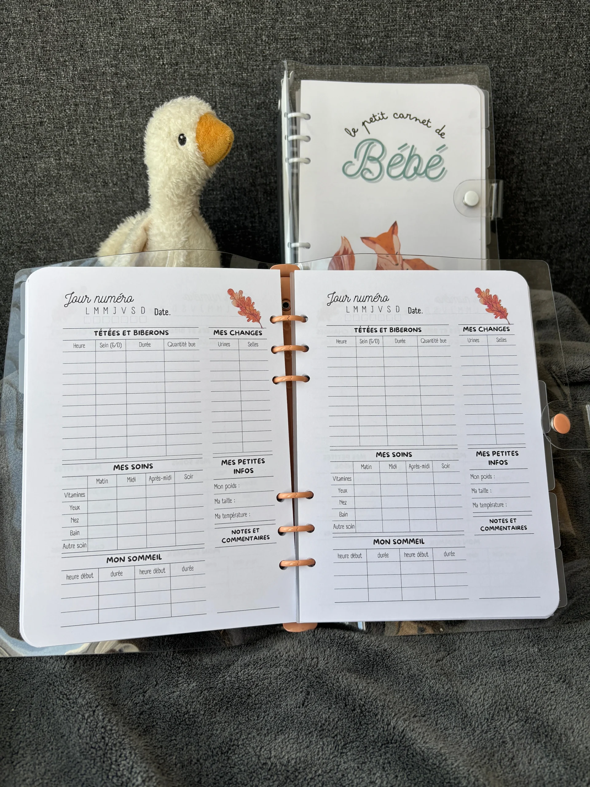 Carnet Bébé d'automne - Le Petit Carnet de Bébé 🍂 – Image 4