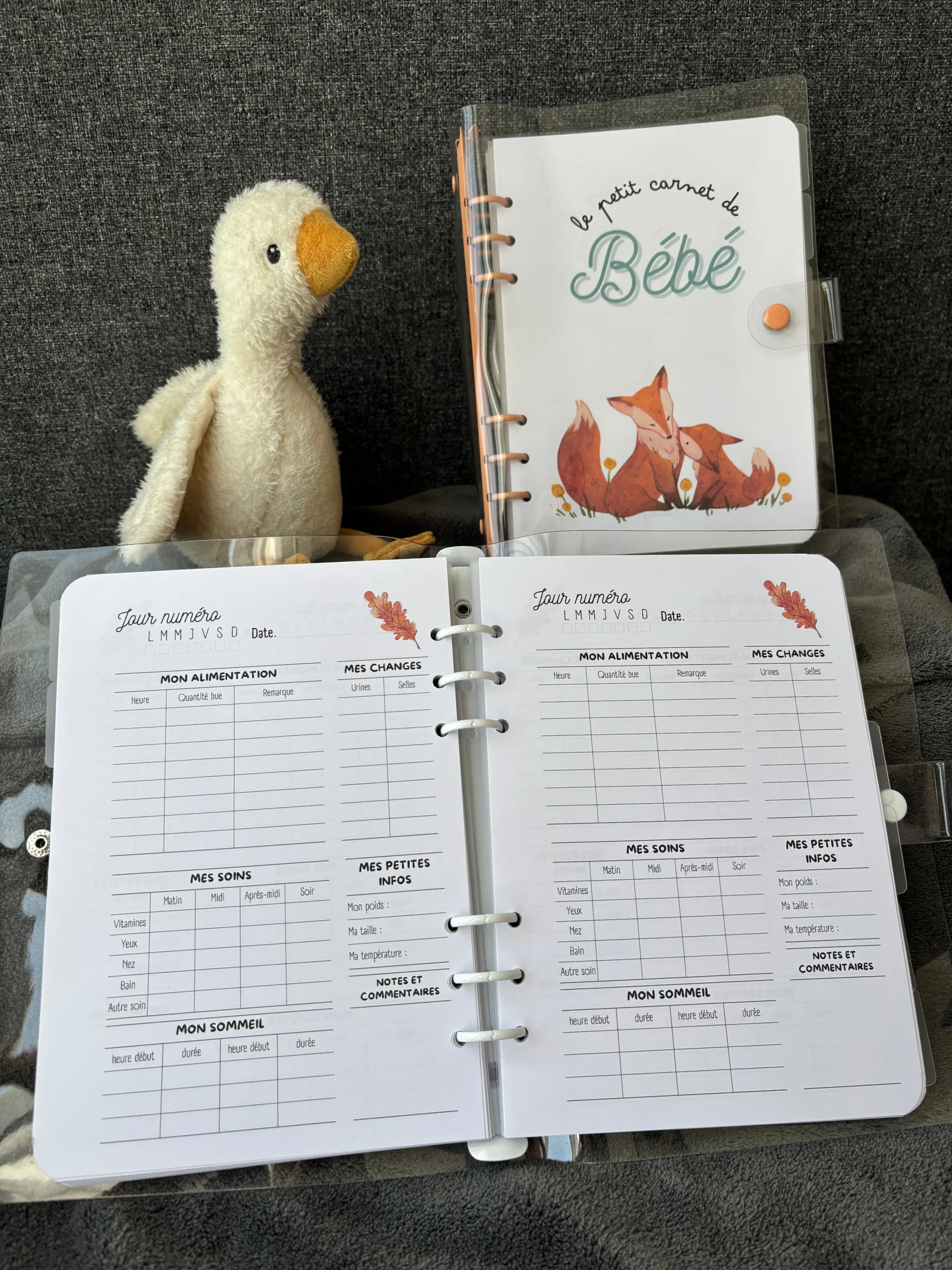 Carnet Bébé d'automne - Le Petit Carnet de Bébé 🍂 – Image 3