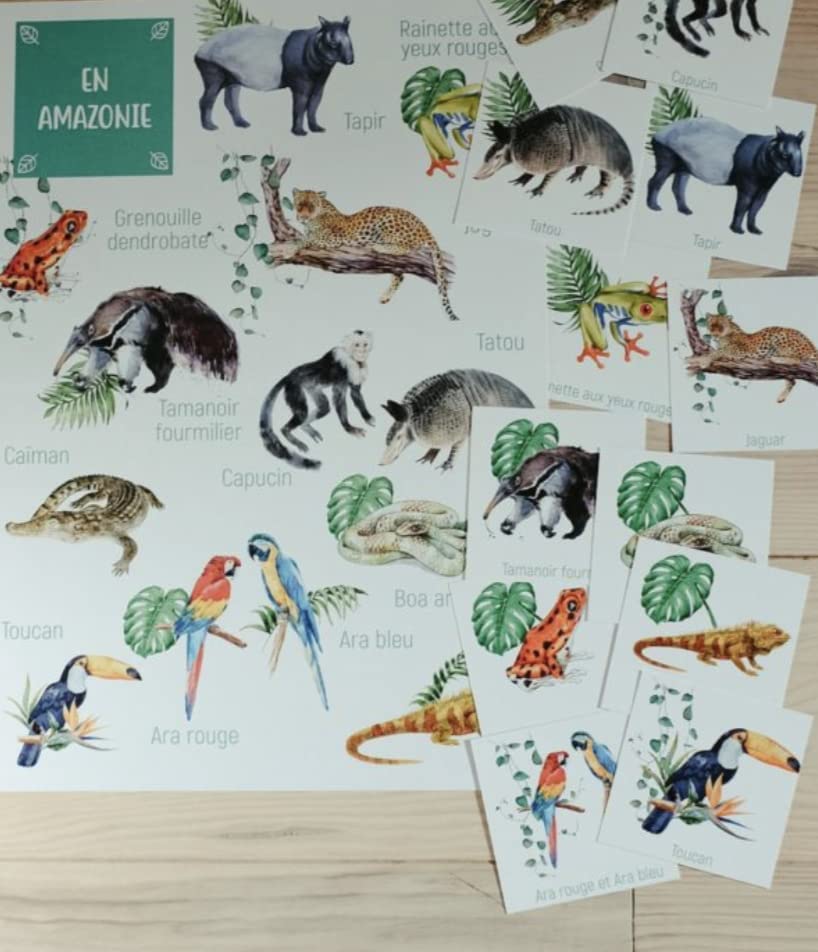 Posters des animaux d'Amazonie – Image 6