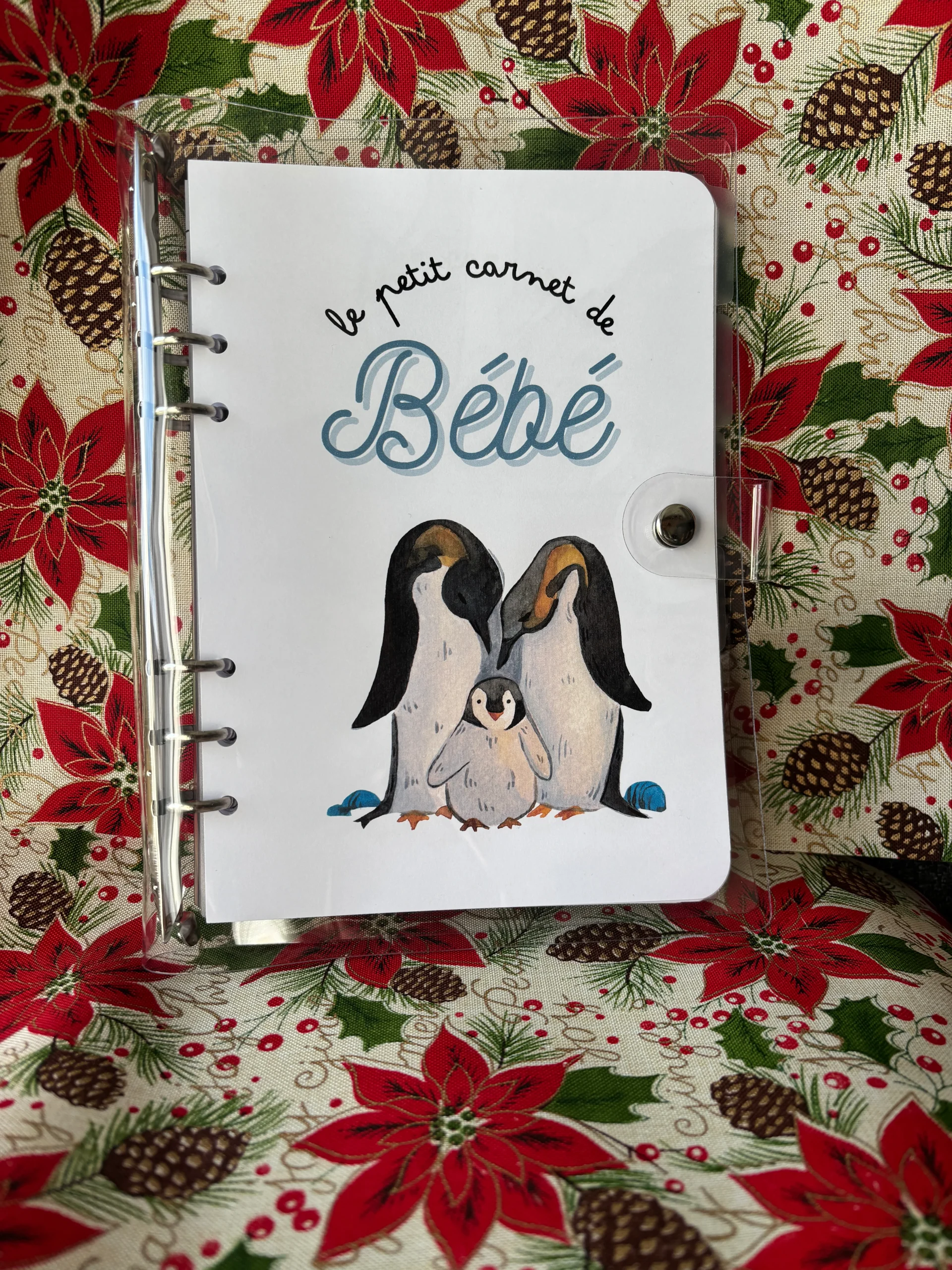 Carnet Bébé d'Hiver - Le Petit Carnet de Bébé ❄️
