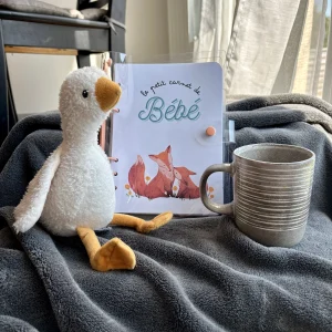 Carnet Bébé d'automne - Le Petit Carnet de Bébé  🍂