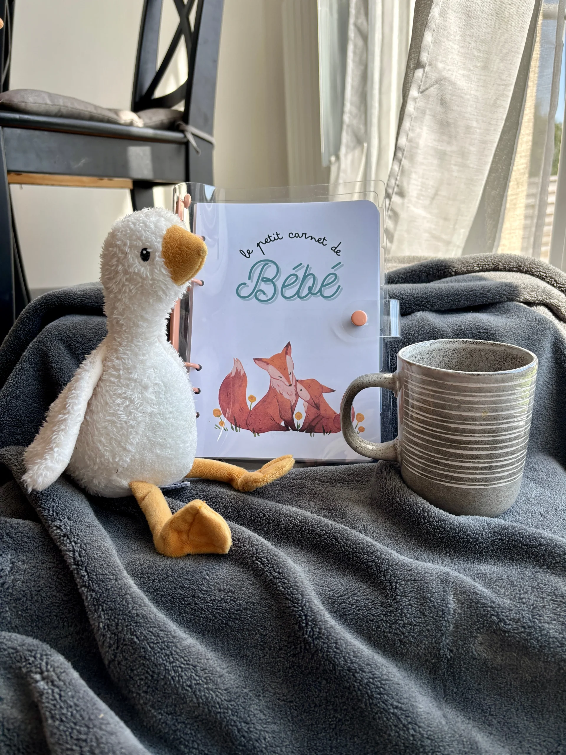 Carnet Bébé d'automne - Le Petit Carnet de Bébé 🍂