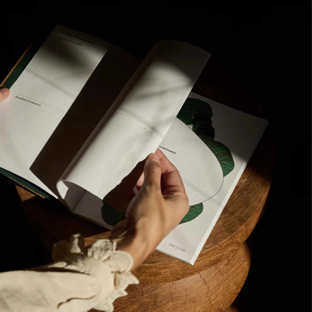 Le livre de naissance – Image 9