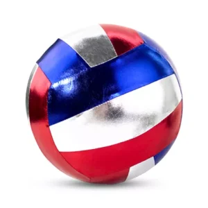 BALLON VOLLEY BLEU 30 CM/ BLUE VOLLEY BALL 30 CM