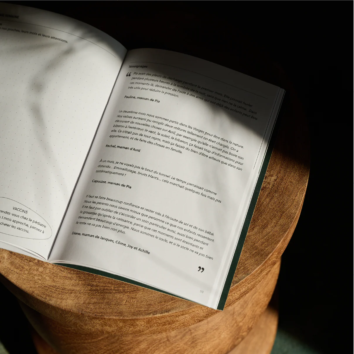 Duo de carnets grossesse et postpartum – Image 4