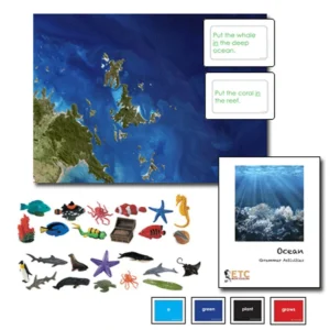 Activités de grammaire de l'océan (en anglais) - Nienhuis AMI