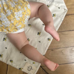 La couverture de naissance en velours