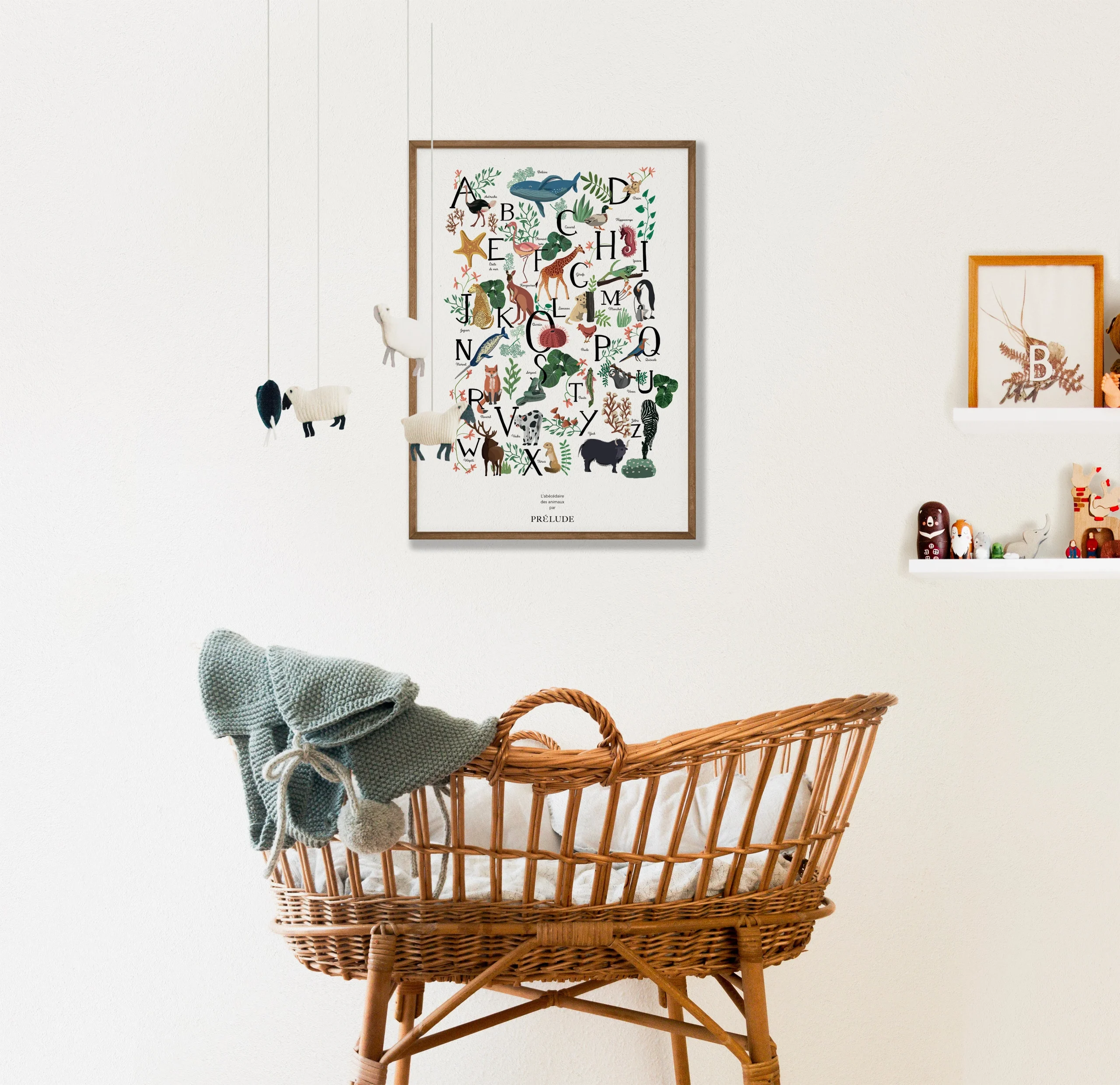 Duo d'abécédaires des animaux – Image 5