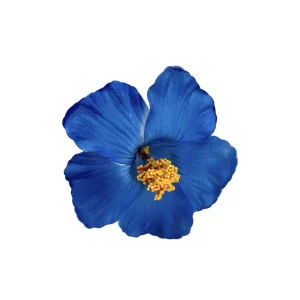 Barrette Fleur Vahiné – Bleu