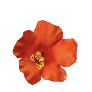 Barrette Fleur Vahiné – Orange