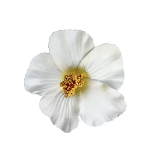 Barrette Fleur Vahiné – Blanc