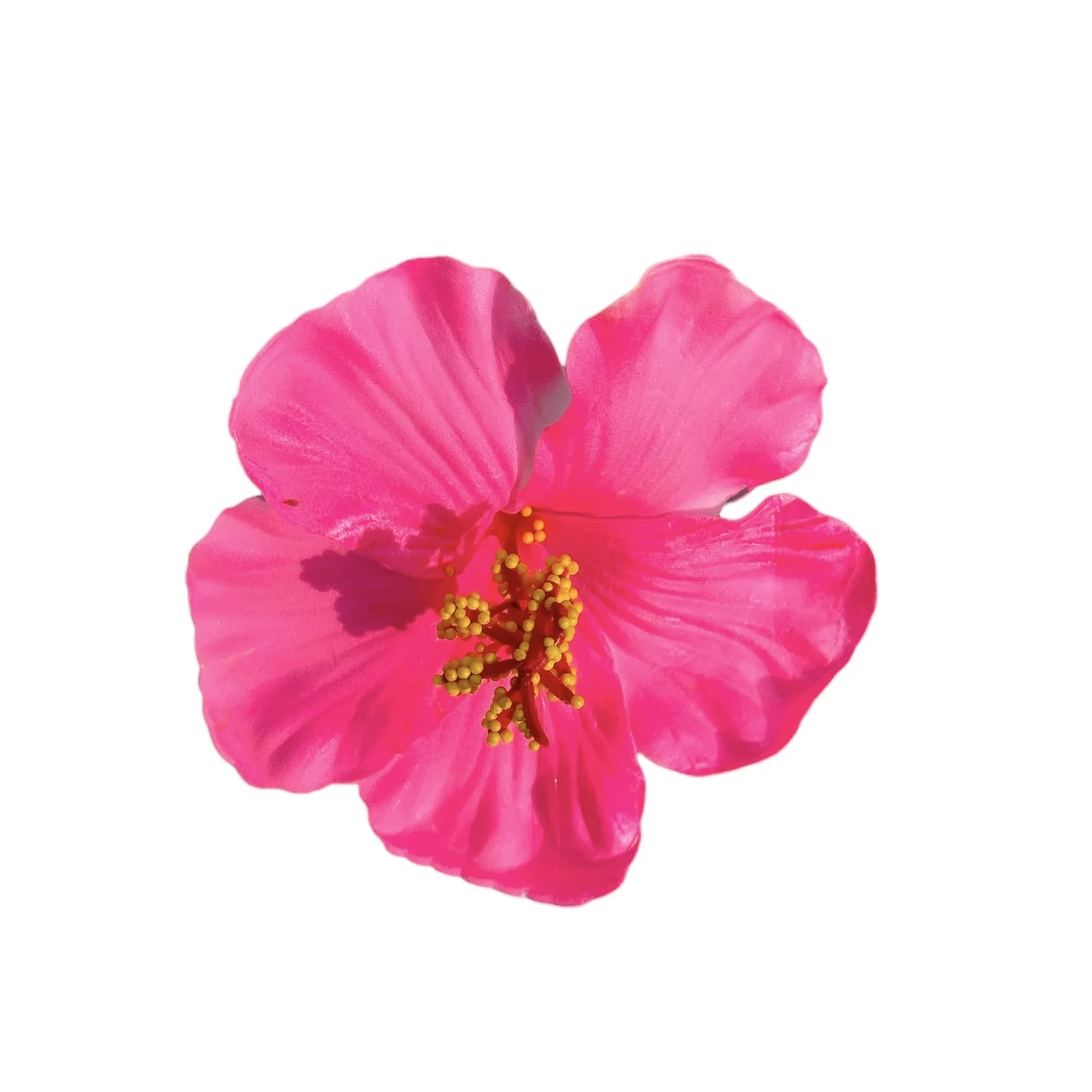 Barrette Fleur Vahiné – Rose