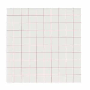 500 feuillets quadrillés - Nienhuis AMI