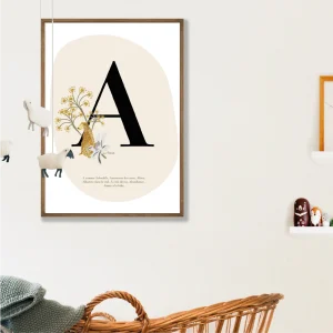 Affiche initiale illustrée