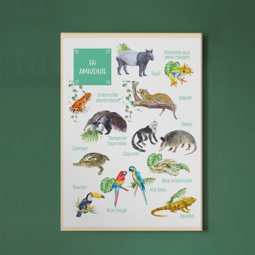 Posters des animaux d'Amazonie