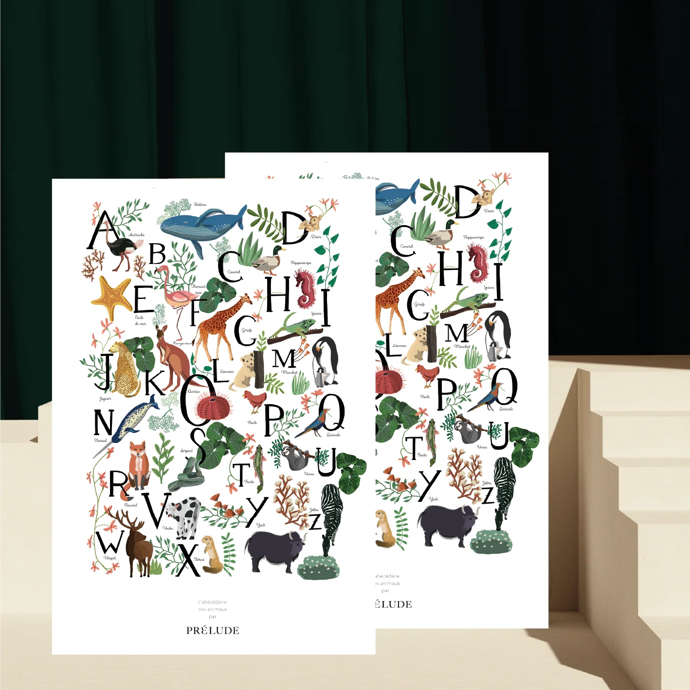 Duo d'abécédaires des animaux – Image 2