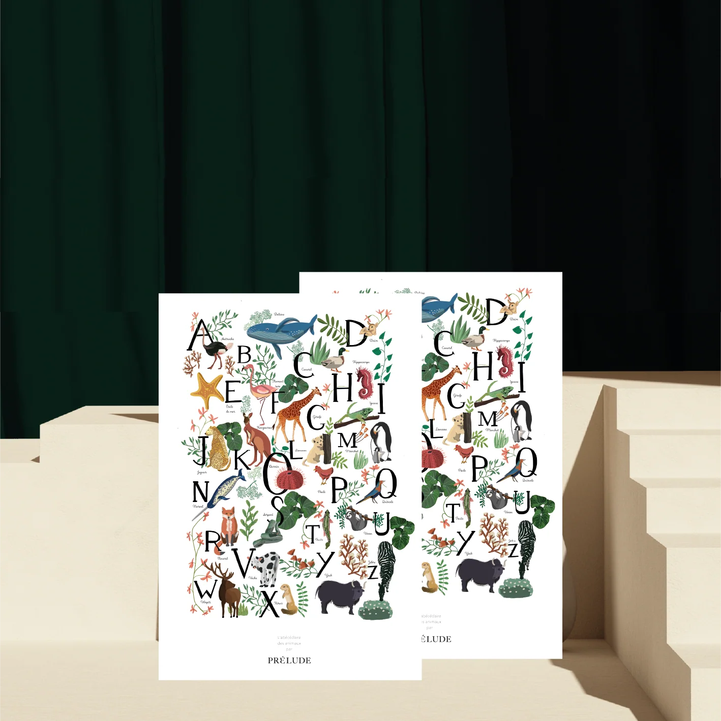 Duo d'abécédaires des animaux – Image 3
