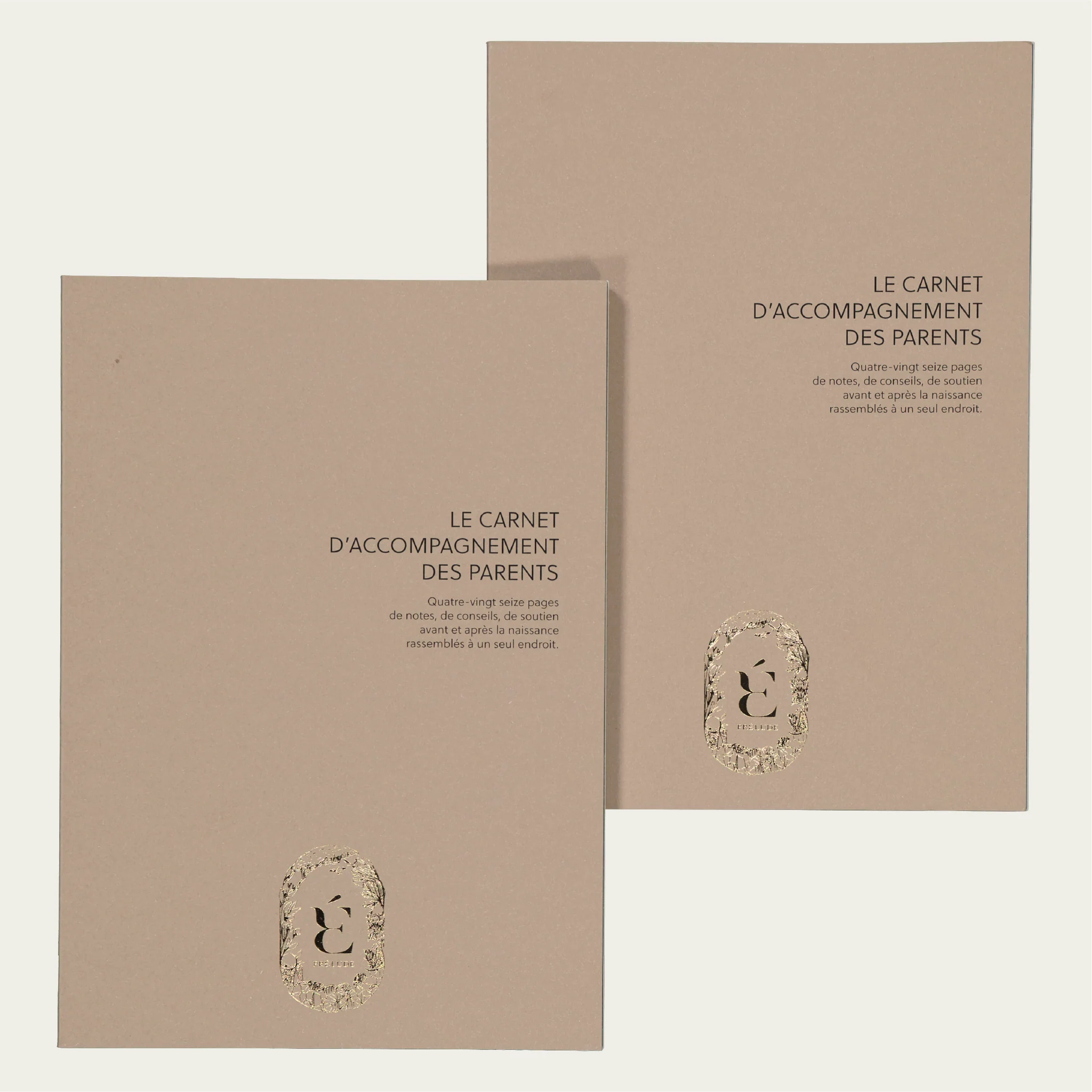 Duo de carnets grossesse et postpartum