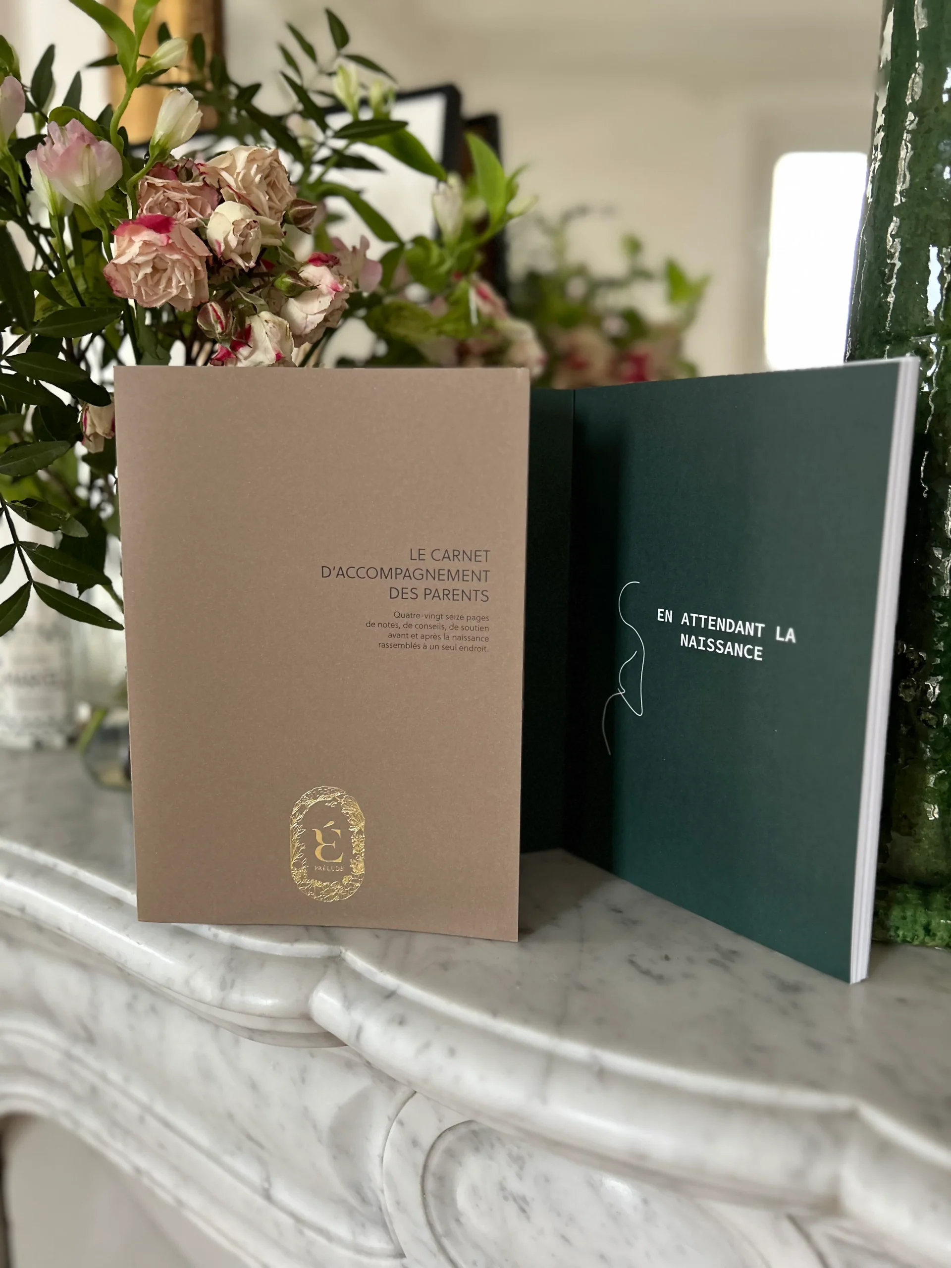 Duo de carnets grossesse et postpartum – Image 7