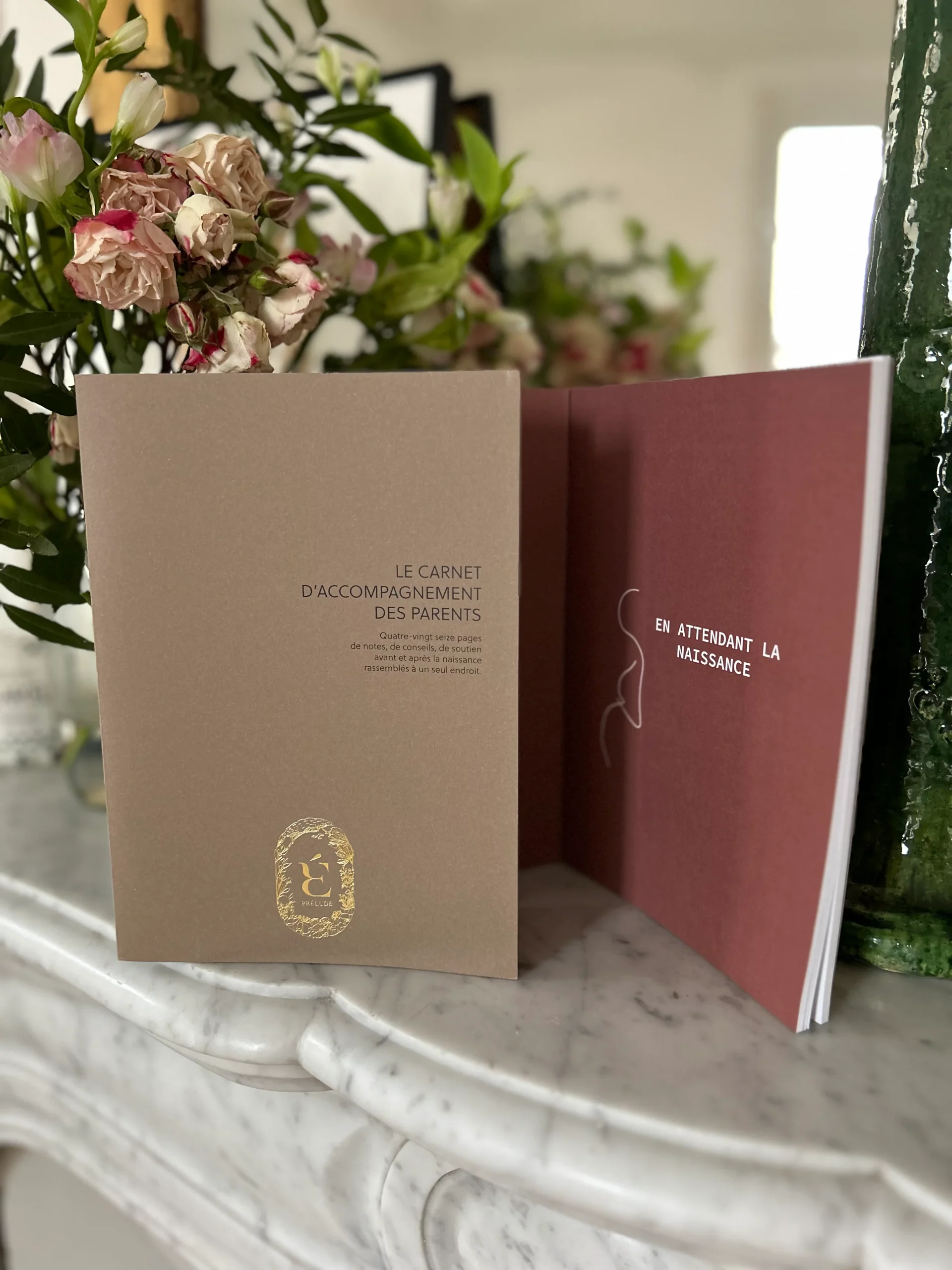 Le carnet grossesse et postpartum – Image 8