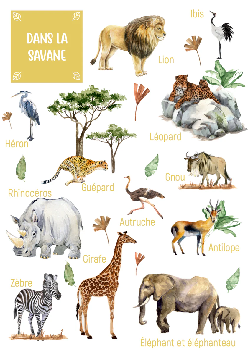 Posters des animaux de la savane – Image 2