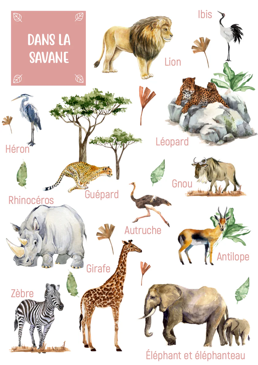 Posters des animaux de la savane – Image 4