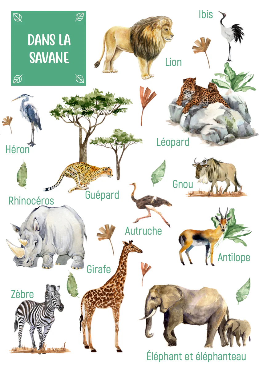 Posters des animaux de la savane – Image 5