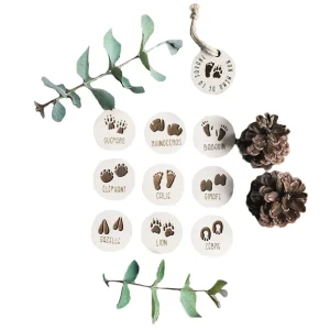 Jeu mémo empreintes d'animaux de la savane